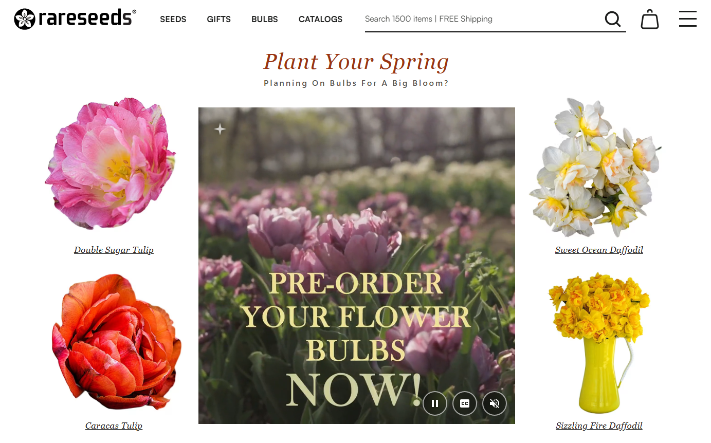 best place to get organic non gmo seeds