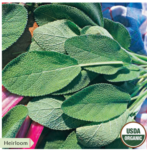 sage